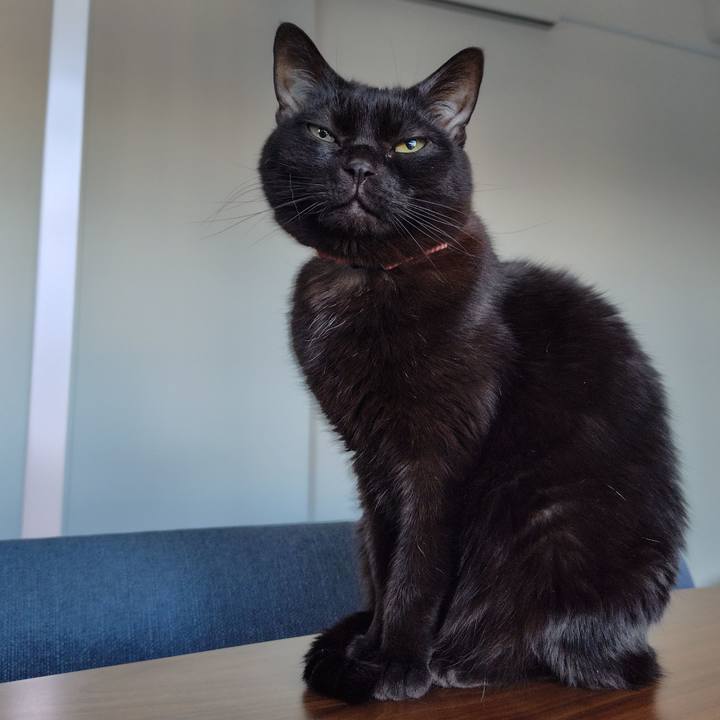 903c2679 f9c4 4b5e b3c7 fbd64126d996 1739225412010