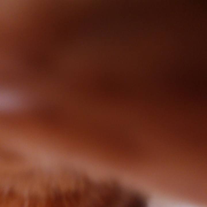 903c40ba f401 4754 84fd 7a570d7d75c1 1601087217430