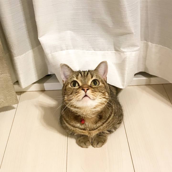 903c7808 fe5d 4a88 94ca 5f56f1d1585d 1510312586920