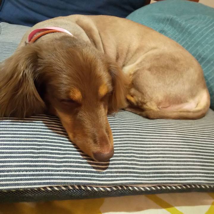 903c939c 9cd7 4cbe 84f9 84a8bd079d5c 1595585745755