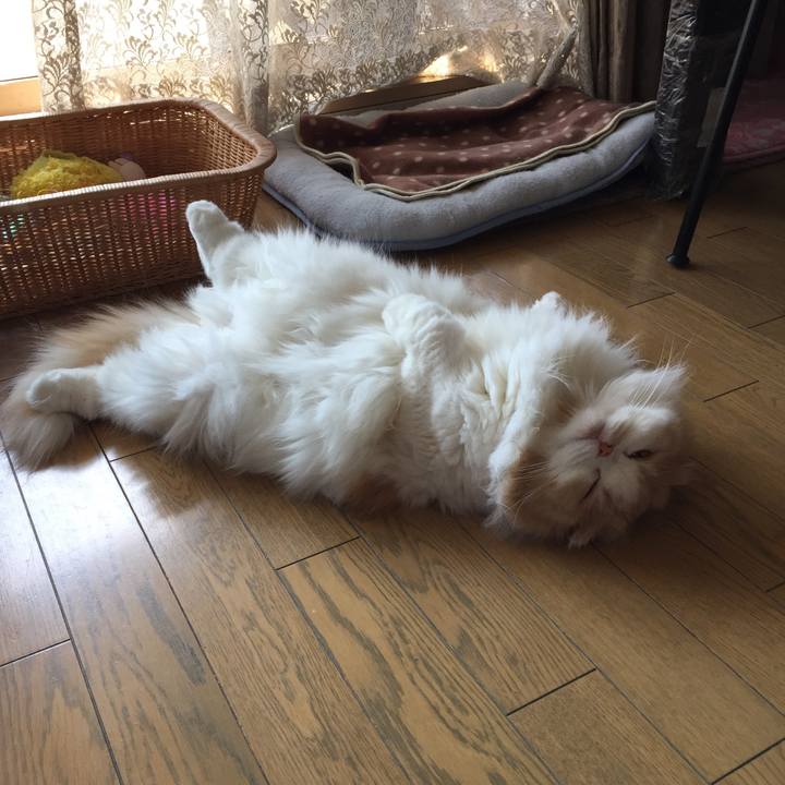 903c957c b5ad 40ae 818f 8d752b011a6d 1520132706040