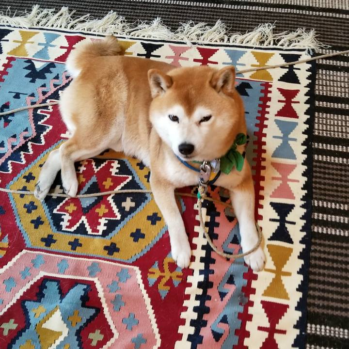 903ca57e a912 4d43 be91 2fccd3f89202 1553299726324