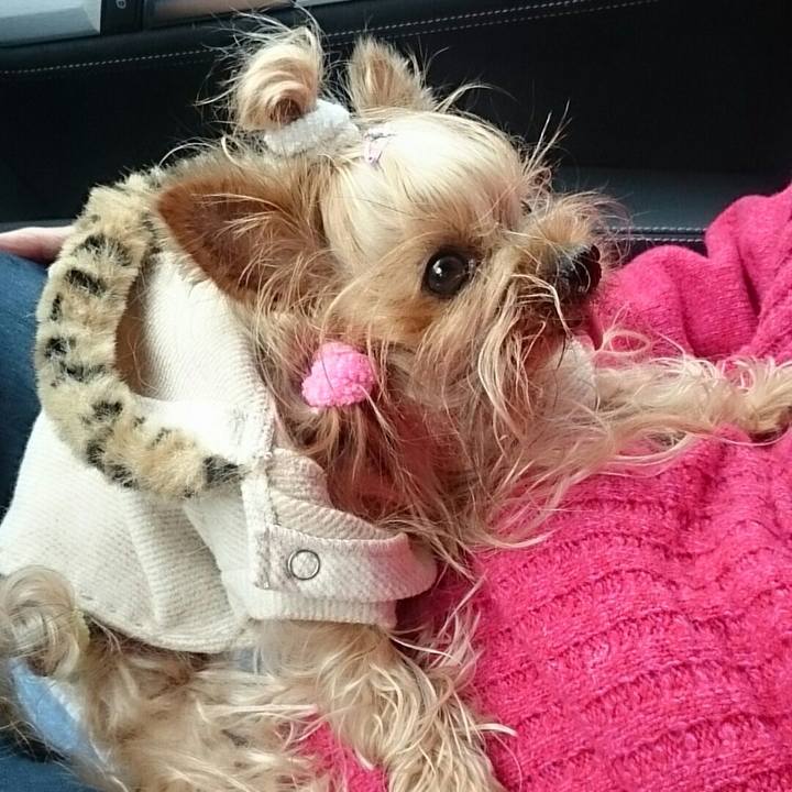 903ccaeb a1ca 4023 a886 278f5dc61d45 1521435349270