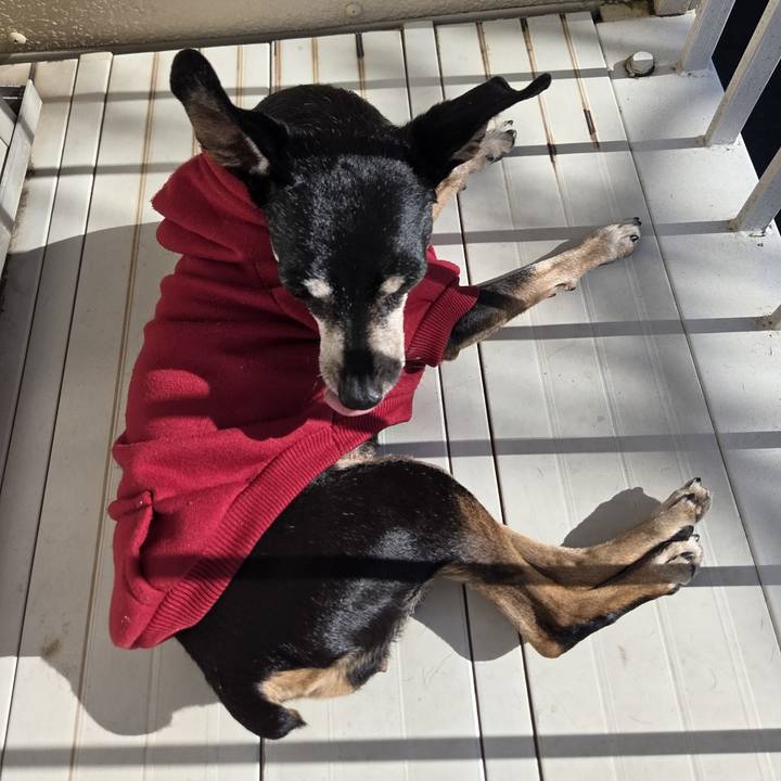 903ce83d 0dd2 4609 b104 e9d0ca0adde8 1760678064854