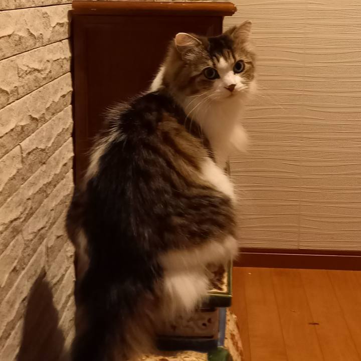 903d01e4 5c7c 4f68 ab42 da2e29a899d2 1674075849597