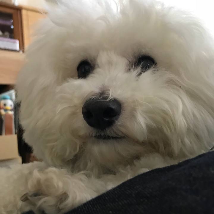 903dcc3b 782e 4d36 b9e4 9dcb076a1a5f 1555918526850