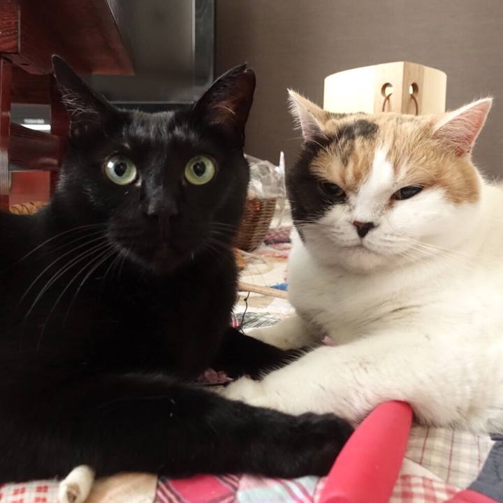 903ddcfb 7c6b 4219 9003 1f7eddec7c92 1547042775784