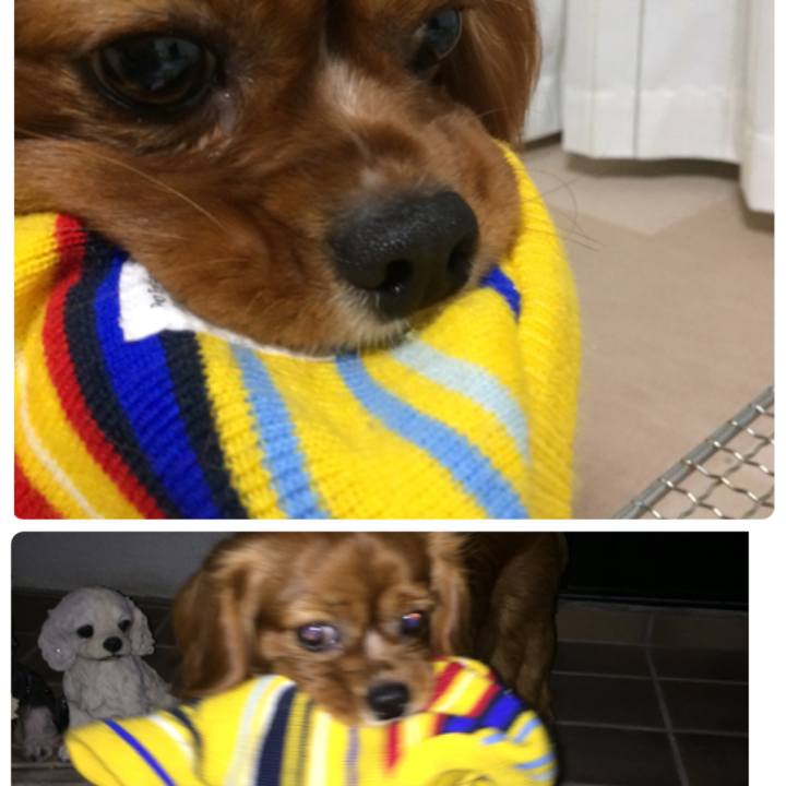 903dff8b f2fb 49ea a664 19c70200602a 1521718443065