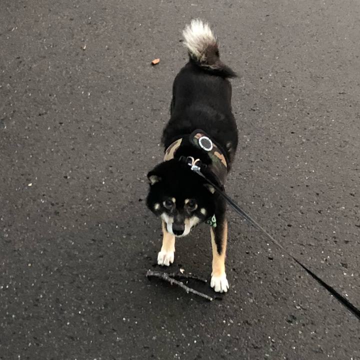 903e0dd0 26b2 4291 ba48 593c72dff351 1539595757951