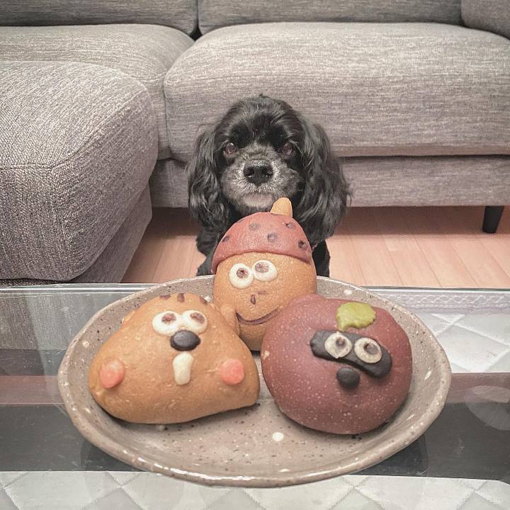 903e8f45 76e9 4cd2 b5ef d2896e849160 1694139444670