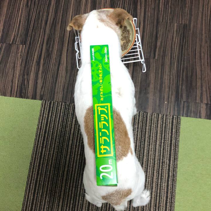 903e9f09 bd6a 4e40 84c9 4dbc933aae11 1585658565371