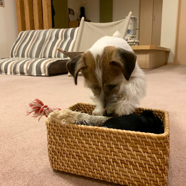 903ece18 a969 4315 a4c5 93bbcaf2634c 1576845312206