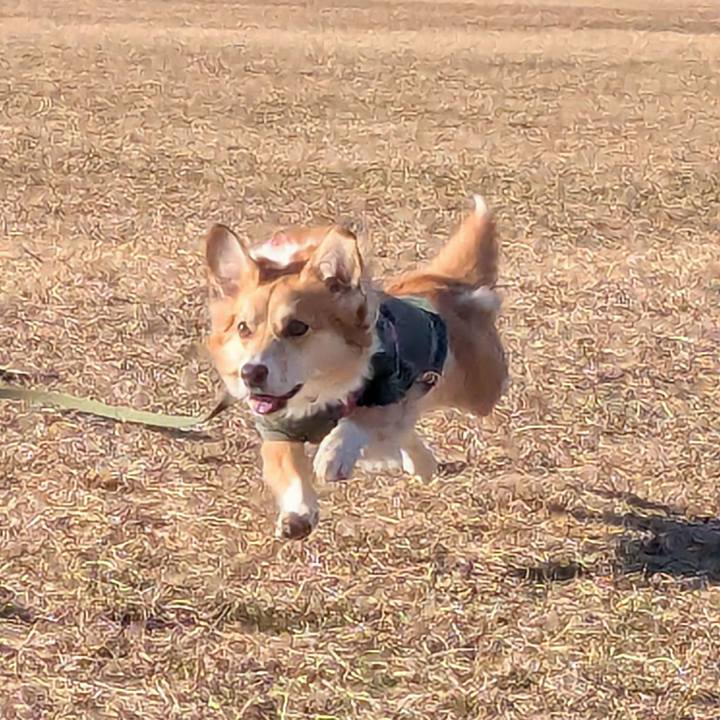 903ef3c3 229b 41d6 a081 f3d2d780bdc5 1767529158542