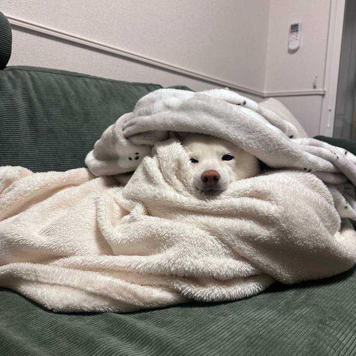 903f1491 6de4 463a 99ef 01aa551a39b5 1771419554605