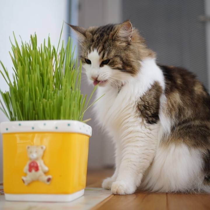 903f1927 9b9d 48b4 9cdf 500d6adc17c2 1593826762578