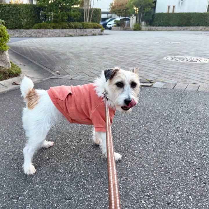 903f2d1a 5f07 4dd1 9156 224cc18592c4 1763118593340