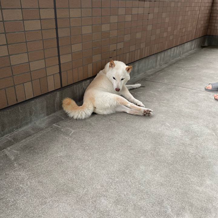 903f3caa 6e26 4986 b1de 7d3d97d24d7d 1652083046692