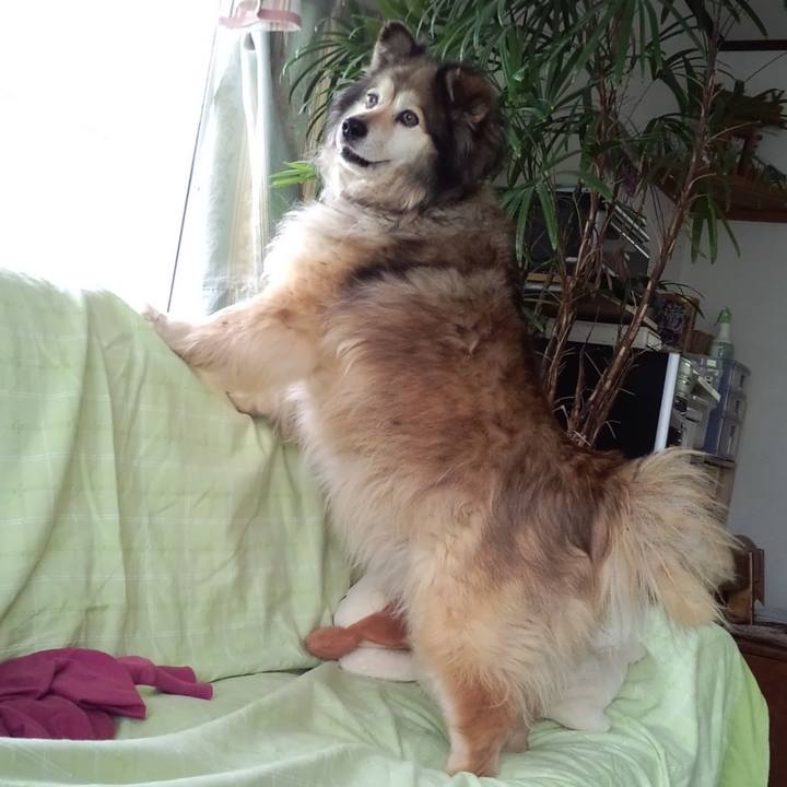 903f5b9c faab 492a 8d0d c9b48c7f5abe 1616547200620