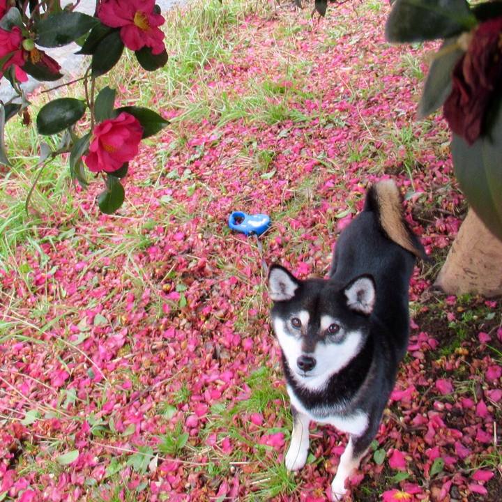 903f634b 7909 4ad7 825f 63289e63e701 1547257884949