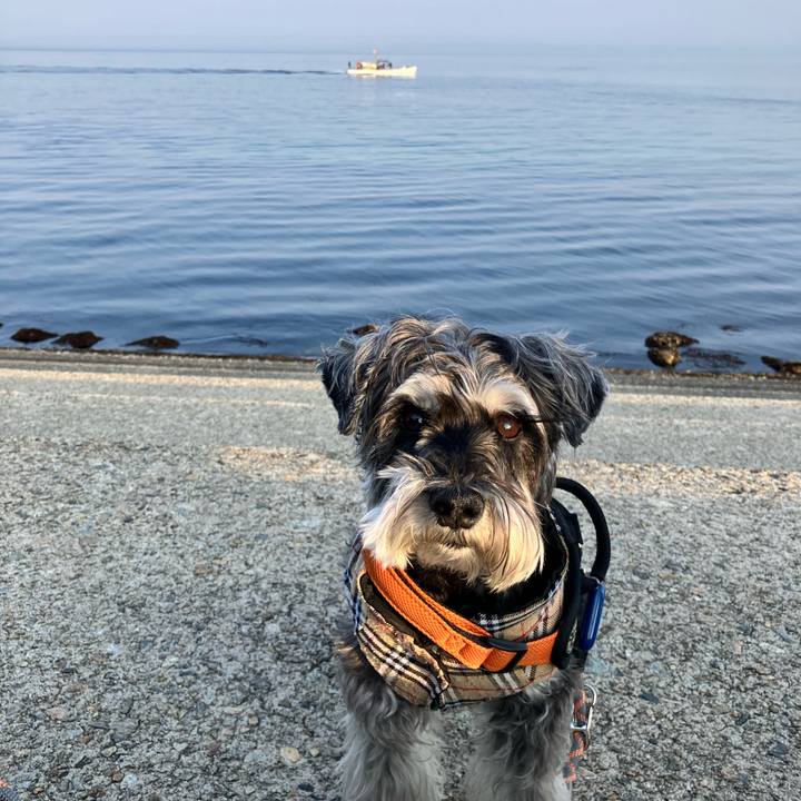 903f7c3f e0b6 4f4c 887f 3f295375abbd 1774662191269