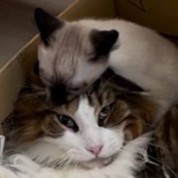 903fb989 6e03 4507 b066 b80ff03266d1 1690494450571