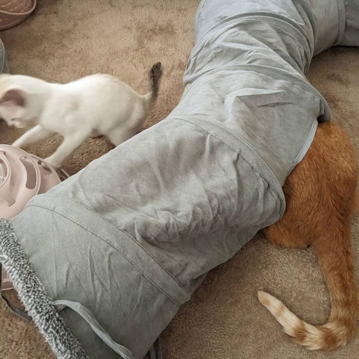 903fc37e 047f 4942 b934 79bb63c84983 1689822699983