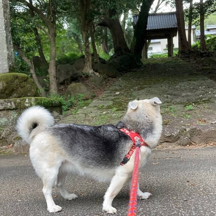 903ffa88 6da8 47fa 96c3 cb4398b808b4 1631015124725