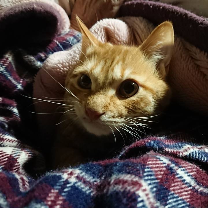 90403a58 eca1 4c13 a8f9 5bd85cdbbf93 1640118975946