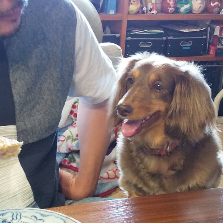 9040d69d 5e71 4c9f bd15 0c5bc8f8170d 1590286167046