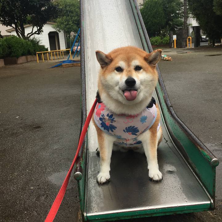 9040e35b 0a24 4346 93c7 bd11bf4f40ac 1594689953192