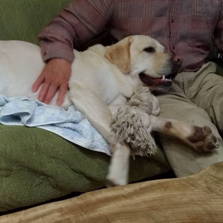 904112d4 a365 47d4 9003 0f5138f87c01 1545564362197