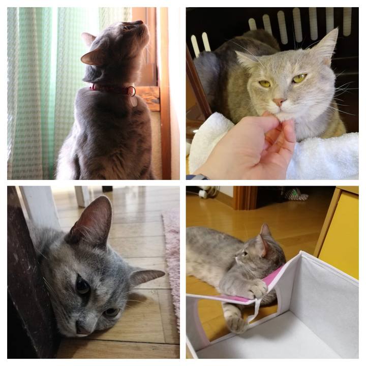 9041247b 1af3 434a bc06 29eeca4dc129 1533778600504