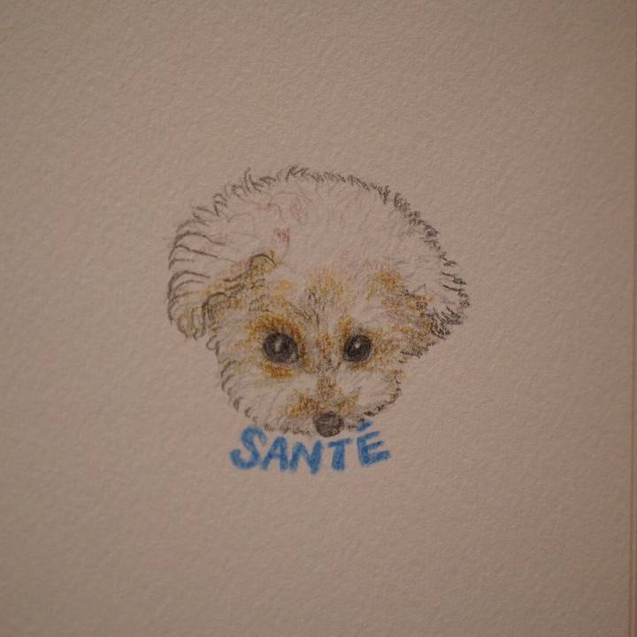 90414012 c9f1 431a 9df8 0b9215e8c04a 1663768918601