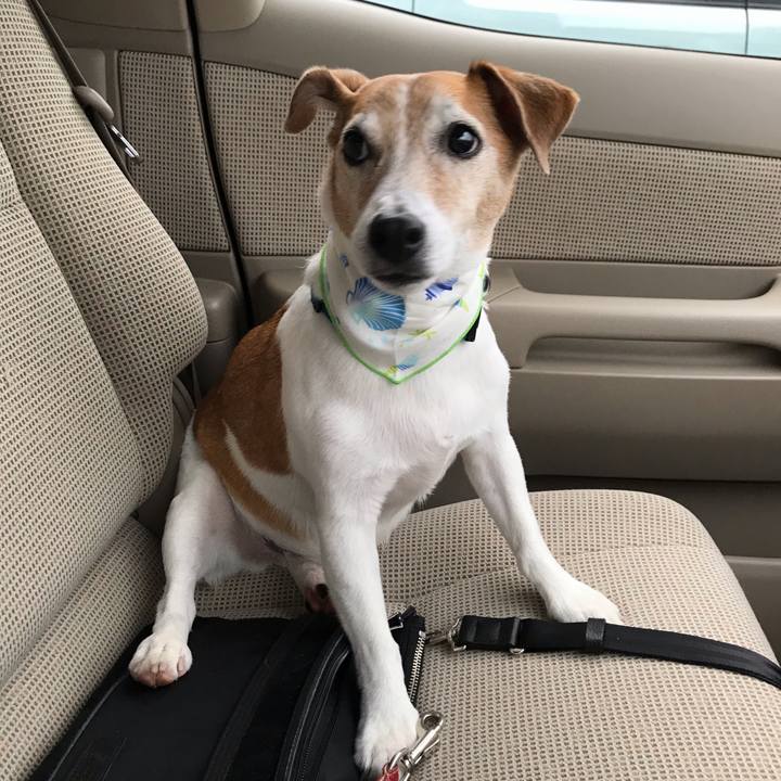 90416fc9 7dd4 4b62 b62b 31eddce543bb 1564216332636