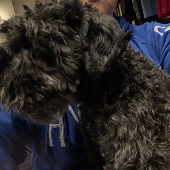 90418b03 3627 4eca 85e2 770a848d9cb8 1681293801674