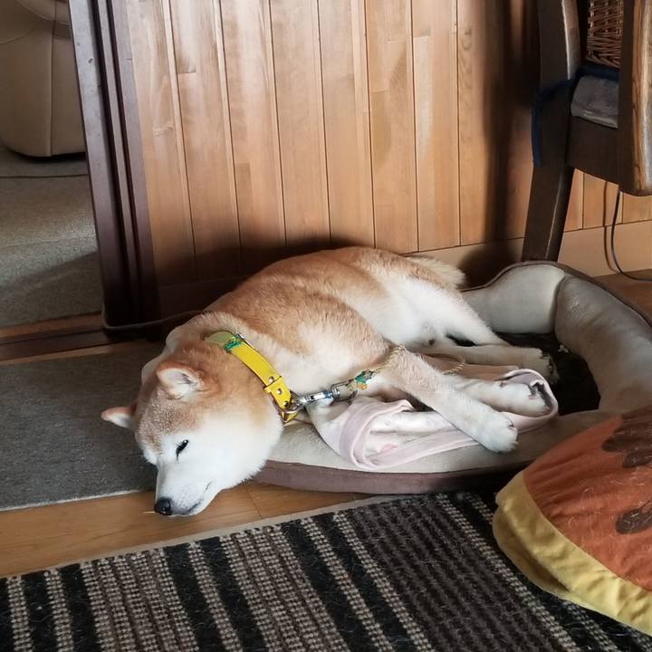 90419691 be08 4a4a 94e1 c0655da46690 1691369477753