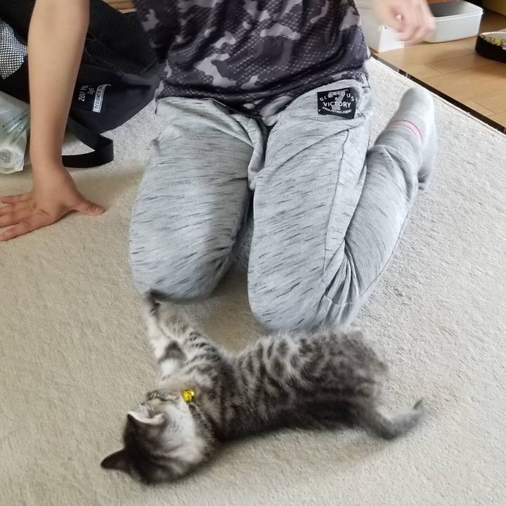 9041aa77 15bb 4c1e 8fcd a9b402017884 1661253387643