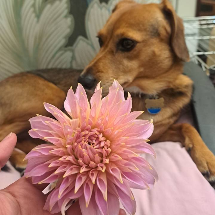 9041ad4e b6a5 457d 88e1 b299dce285d9 1762468817773