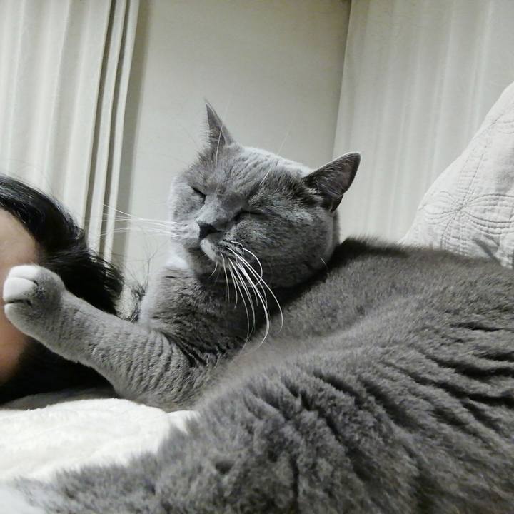 9041d0f6 80e2 4652 8c90 58cb2f812d57 1635030582080