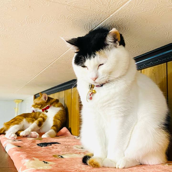 9041e320 8f26 410d 8c45 957152e0b030 1709245960541