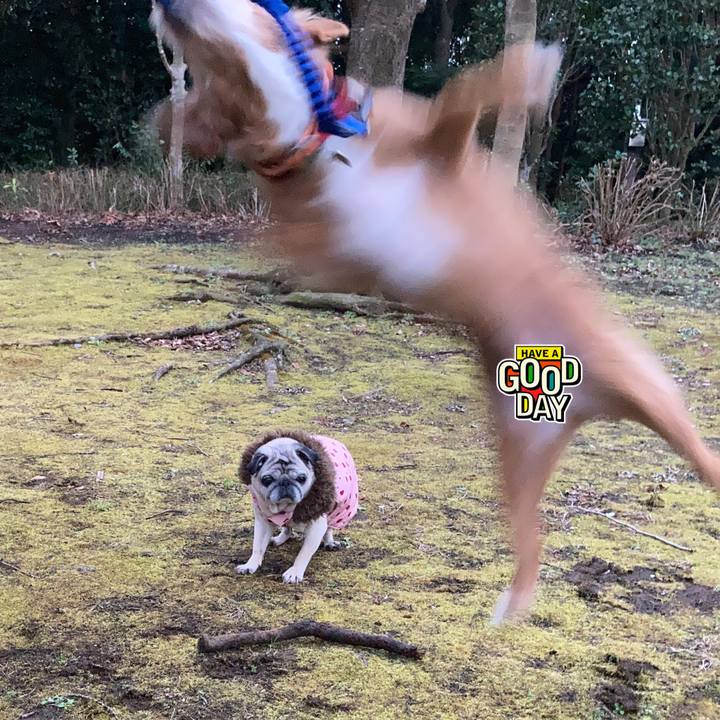 9041f63c c256 44d7 bbcd 1bbb9cddadbb 1611745763879