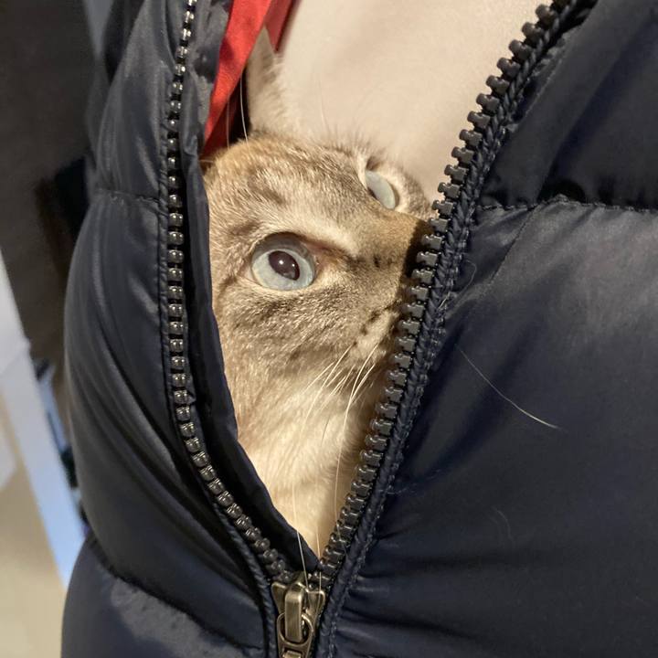 90421a65 6890 4cce 97e8 186194540522 1606985091053