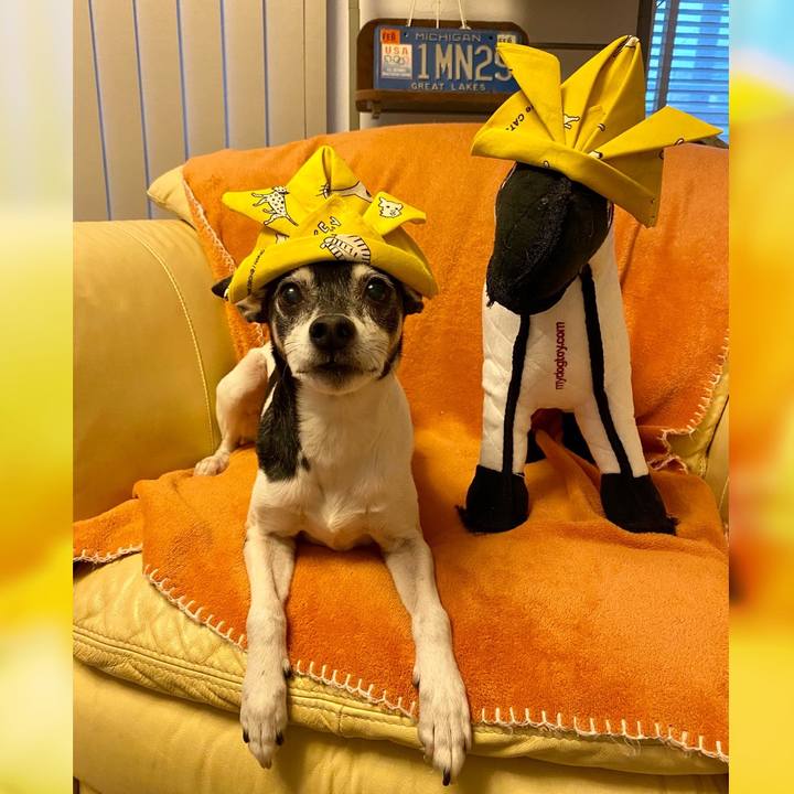 90423705 912a 43fe 90d1 27fd51e60f06 1620206885868