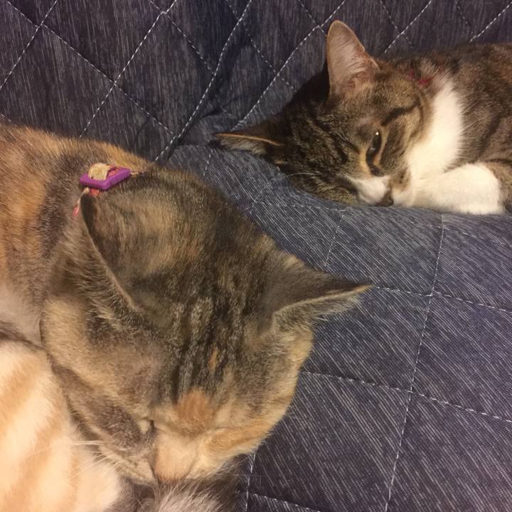 90424027 e731 42e8 91f0 935598012d89 1559398159421