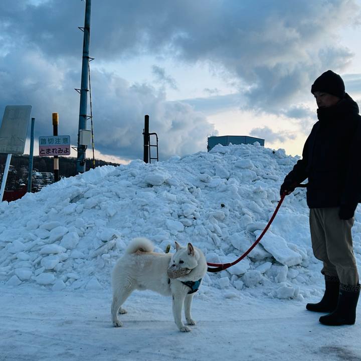 90424135 fbe9 4e0e a534 b1edfcf9e51b 1735252461593