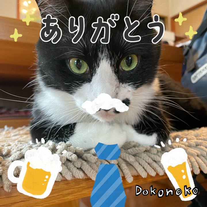 90428733 8254 4c42 a4e9 284c910f3200 1717561251886