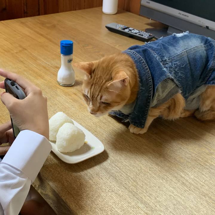 9042b9f9 c510 4f03 8b29 da104da47cae 1649369281718