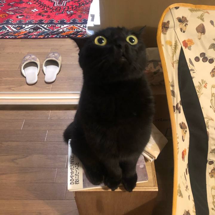 9042e11c e79f 4d44 86c1 75a9637a6dc0 1624742096390