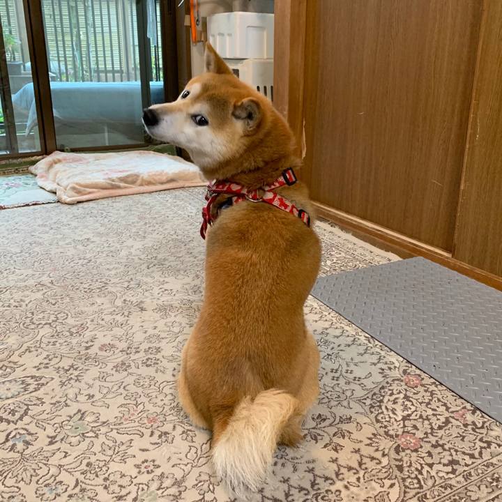 9042f0c8 be86 4ec1 a0d8 51a8e532fced 1585732396391