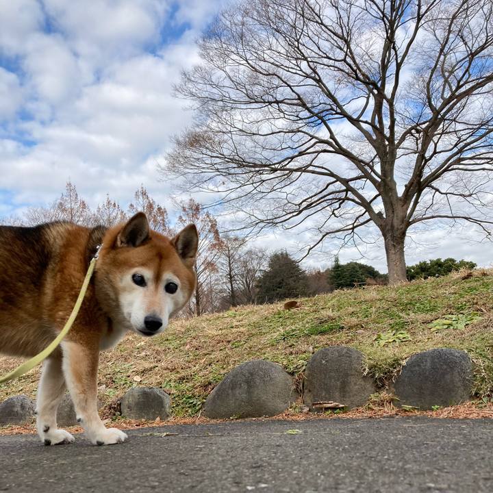 90430bf4 fc28 48e9 bce9 0daeff9450d7 1671602762945